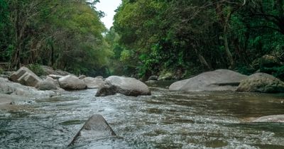 Surfacewater-filtration