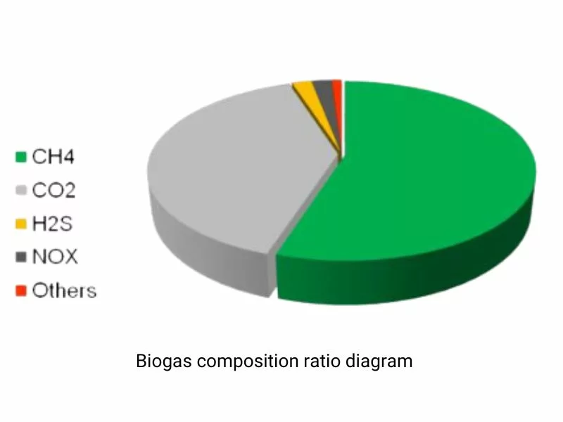 Biogas composition ratio diagram