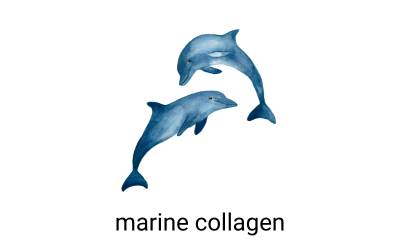 marine collage